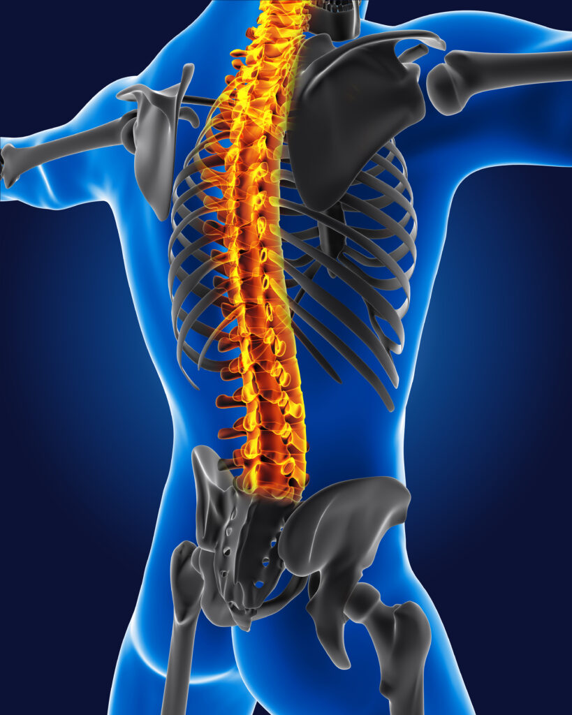 3d medical man with skeleton spine highlighted