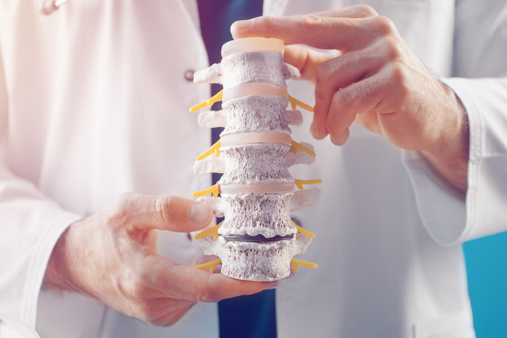 doctor demonstrates departments spine vertebrae hernia its injuries