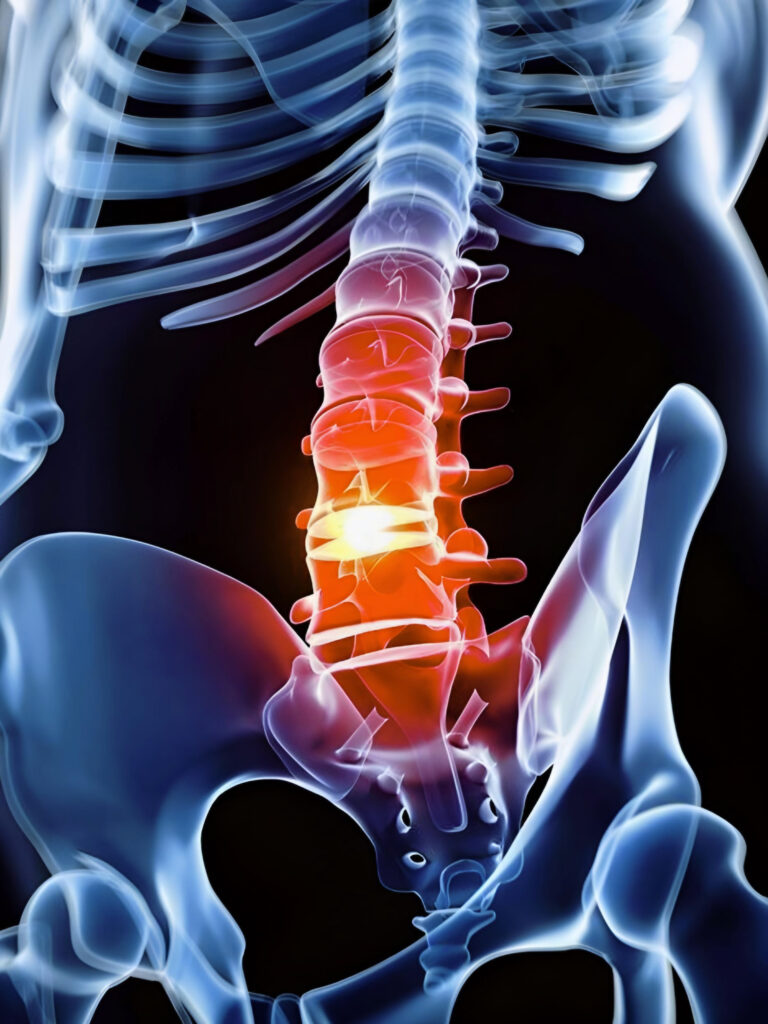 human back bone highlighting lumbar spine illustration 3d